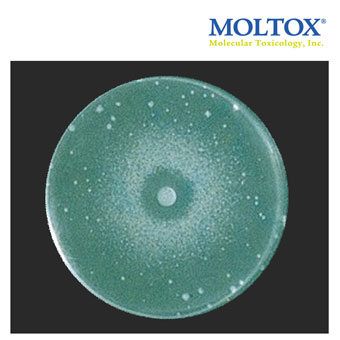 Moltox