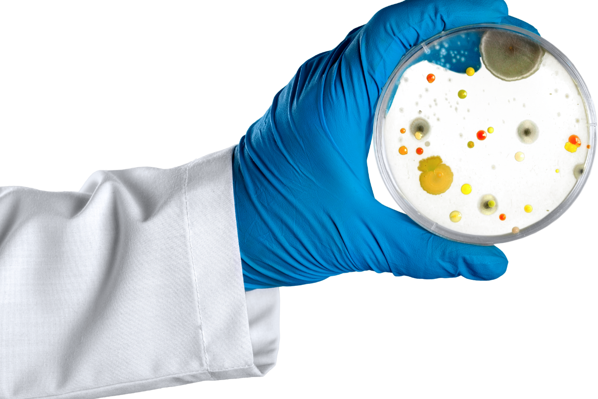 全方位黴漿菌防護方案－守護您的細胞實驗！ | 啟新生物科技-生技醫療的領導品牌 Creative