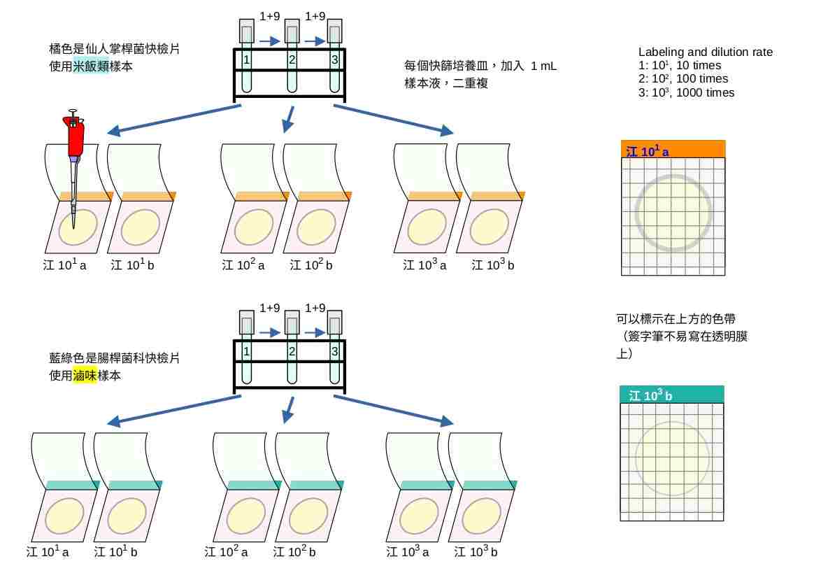 食品微生物檢驗步驟教學分享