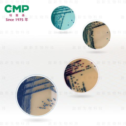 CMP_CM.Clinical_j