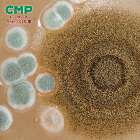 CMP_DG1801_j