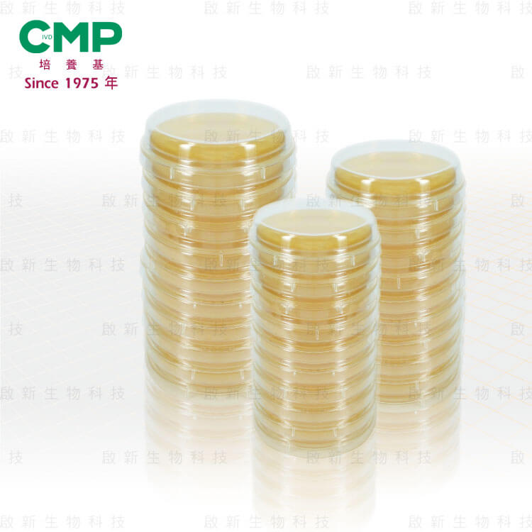 CMP_Prepared單層培養基