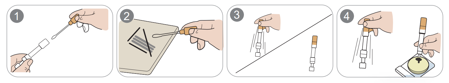 CompactDry Swab 日製採樣棉棒-2