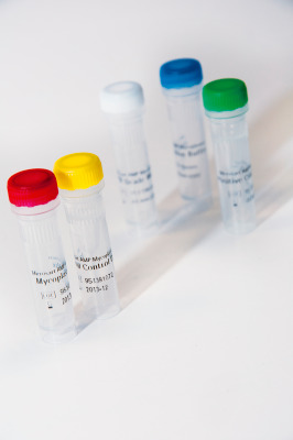 Microsart AMP Mycoplasma