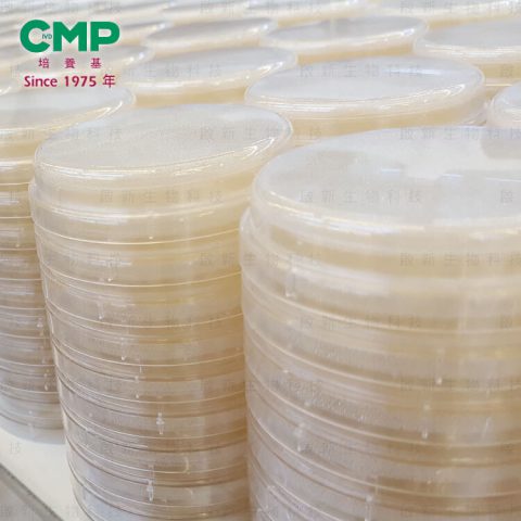 web_CMP_agar_01_j