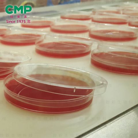 web_CMP_agar_02_j