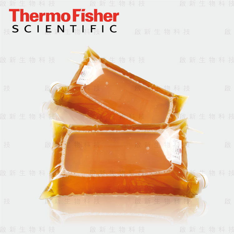 ThermoFisher_Dry-Bags