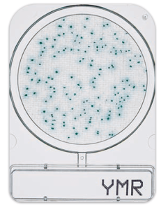 黴菌和酵母菌-CompactDry-YMR