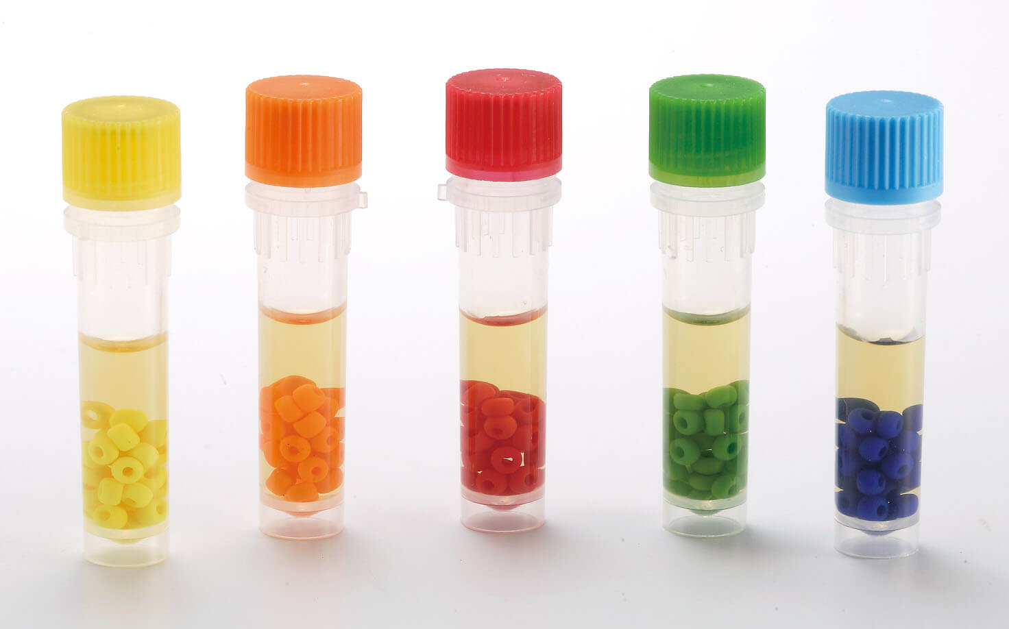 Bacterial strain preservation system CMP